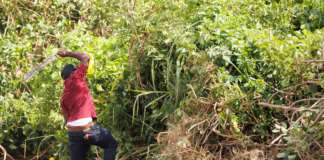 PWD: Activities of the Roads Division for the Week of November 25, 2024