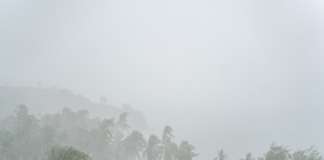 Overview of Hurricane Preparedness and Response Protocols with the WSD’s Inspectors of Quality and Works Heavy tropical rain darkening the sky