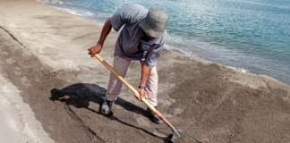 PWD’s Activities for October 14, 2025