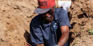 Today’s WSD Action Plan: January 16, 2026